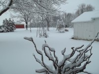 out the back door.JPG
