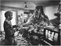 kitchen-mound.jpg