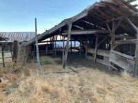 IMG_0995.jpg