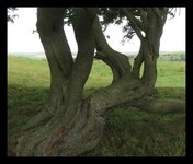 IMG_8224.jpeg IMG_8224.jpeg