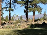 IMG_9701.jpeg
