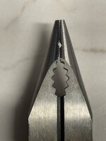 IMG_1371.jpeg