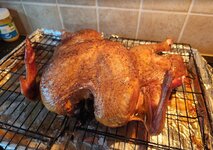 turkey.jpg