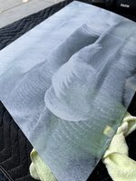 IMG_2522.jpeg