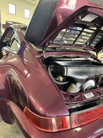 IMG_2528.jpeg
