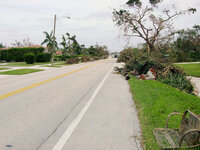 After Wilma 11.jpg