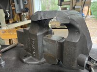 IMG_6346.jpeg