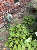 IMG_4200.jpeg