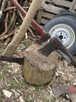 IMG_3880.jpeg