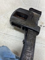 IMG_7349.jpeg IMG_7349.jpeg