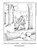 1729135653102.png