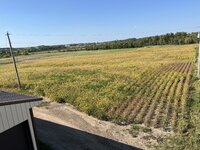 IMG_2120.jpeg