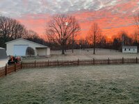 IMG_7007.jpeg