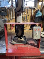 IMG_0061.jpeg