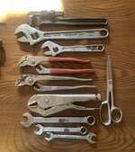 IMG_6955.jpeg IMG_6955.jpeg