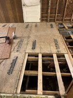 IMG_4965.jpeg