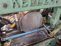 PXL_20240613_161846400.jpg
