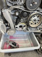 IMG_2717.jpeg