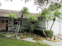 Robellini Trim 1.jpg