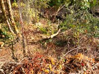 IMG_5143.jpg