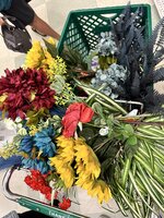 IMG_2751.jpeg