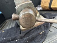 IMG_7043.jpeg