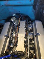 IMG_0765.jpeg