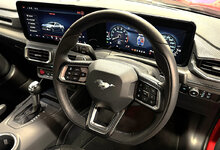 IMG-2312.jpg