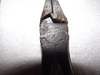 DSCF8144.JPG
