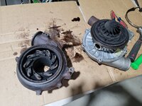 20240921_162300.jpg 20240921_162300.jpg