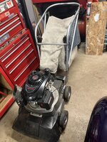 IMG_6162.jpeg IMG_6162.jpeg