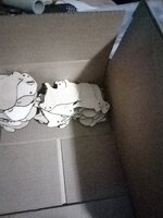IMG_20241106_173431.jpg