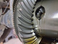 sd8.jpg
