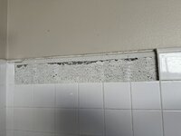 IMG_2393.jpeg IMG_2393.jpeg