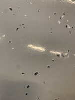 IMG_2779.jpeg
