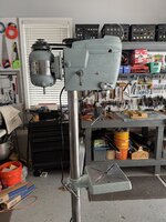 IMG_4699.jpeg