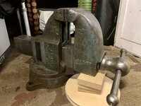 IMG_2630.jpeg