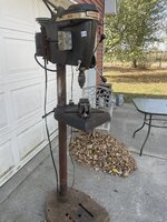 IMG_1101.jpeg