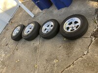 IMG_6184.jpeg IMG_6184.jpeg