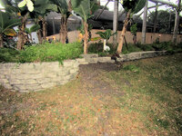 Block Wall Rebuild 1.jpg