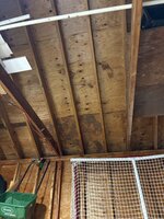 IMG_0075.jpeg IMG_0075.jpeg