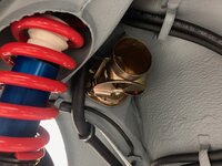 IMG_4858.jpeg