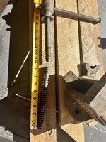IMG_7390.jpeg