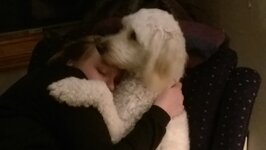 IMG_0181.jpeg