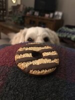 IMG_1769.jpeg