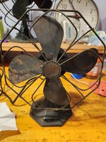 20241116_205344.jpg