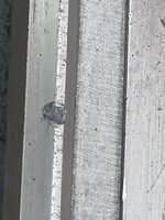 IMG_1284.jpeg