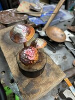 IMG_8505.jpeg