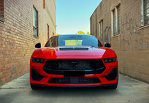 IMG-E286-NP7.jpg