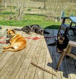 3amigos.jpg